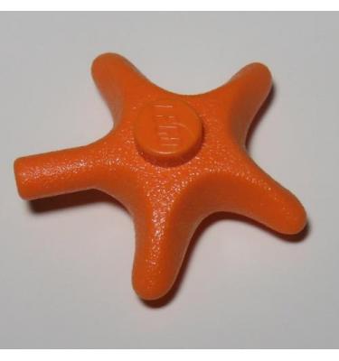 Tengeri csillag