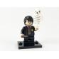 Harry Potter  (LEGO® 71022 Harry Potter Fantastic Beasts Series)