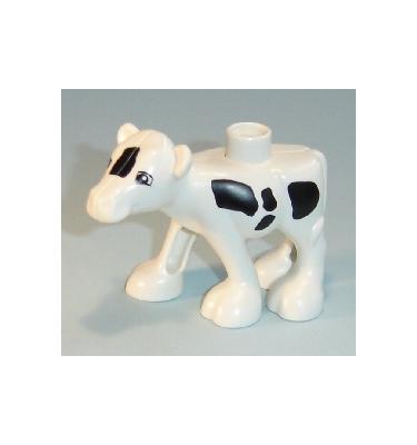 Duplo tehén