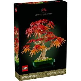 Vöröslevelű japán juhar bonsai™
