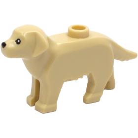 Kutya (Labrador / Golden Retriever)™