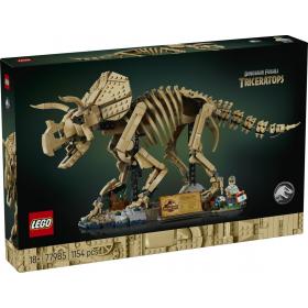 Dinoszaurusz maradványok: Triceratops™