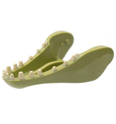 Dínó alsó állkapocs