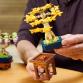 Mini bonsai fák