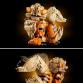 Arcanine