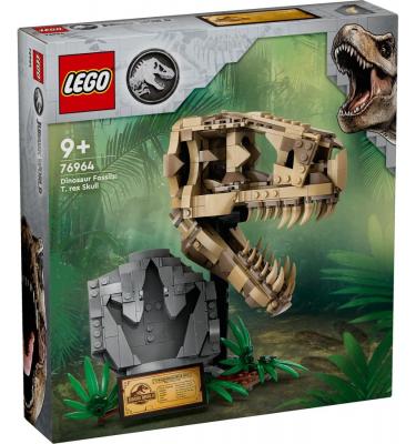 Dinoszaurusz maradványok: T-Rex koponya