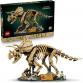 Dinoszaurusz maradványok: Triceratops