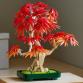 Vöröslevelű japán juhar bonsai
