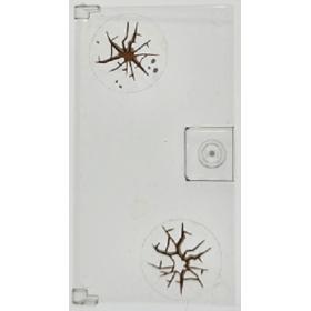 Ajtó 1 x 4 x 6, fogantyúval - mintás/matricás™