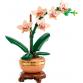 Mini orchidea