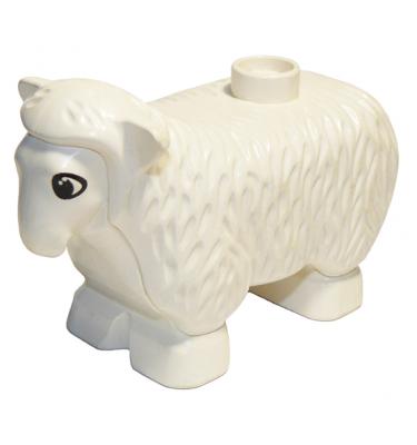 Duplo bárány