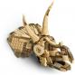 Dinómaradványok: Triceratops-koponya