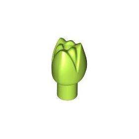 Virág (Tulipán)™