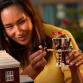 LEGO® Ideas Home Alone