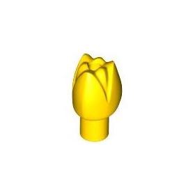 Virág (Tulipán)™