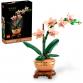 Mini orchidea