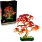 Vöröslevelű japán juhar bonsai