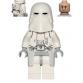 Snowtrooper