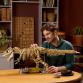 Dinoszaurusz maradványok: Tyrannosaurus rex