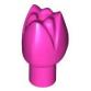 Virág (Tulipán)