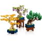 Mini bonsai fák