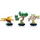 Mini bonsai fák