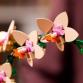 Mini orchidea