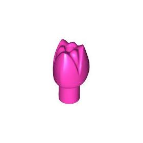 Virág (Tulipán)™