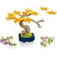 Mini bonsai fák