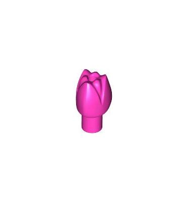 Virág (Tulipán)