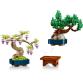 Mini bonsai fák