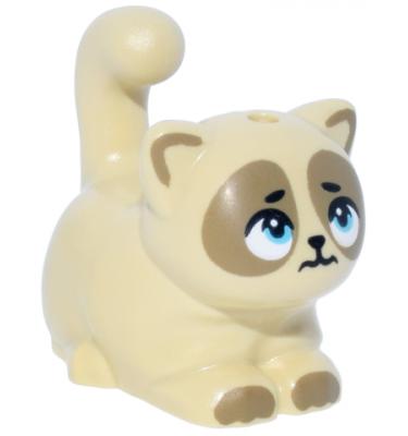 Cica - mintás/matricás