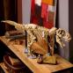 Dinoszaurusz maradványok: Tyrannosaurus rex