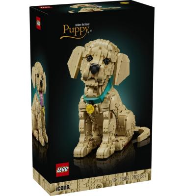 Golden retriever kutyus