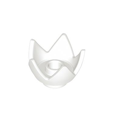 Korona