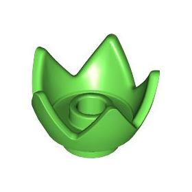 Korona™