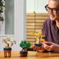 Mini bonsai fák