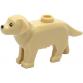 Kutya (Labrador / Golden Retriever)