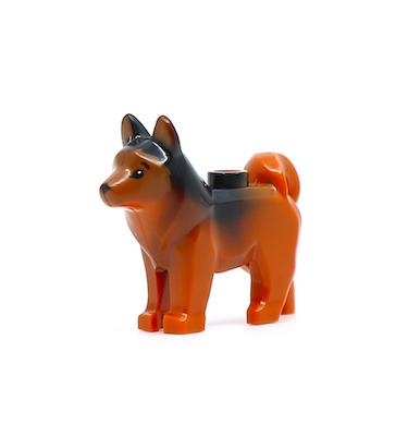 Husky kutya