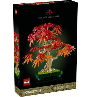 Vöröslevelű japán juhar bonsai