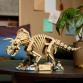 Dinoszaurusz maradványok: Triceratops