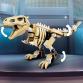 T-Rex dinoszaurusz őskövület kiállítás