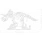 Dinoszaurusz maradványok: Triceratops