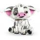 Pua